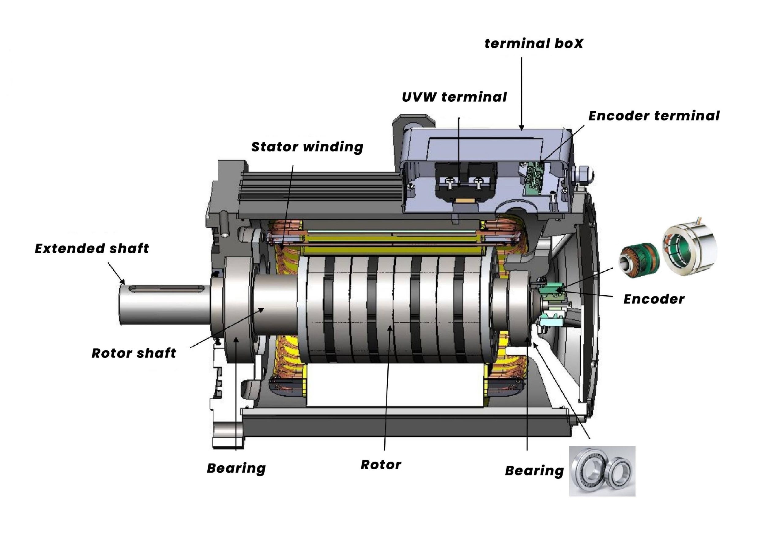 Annotated cutaway showing the stator, rotor, bearings and terminals of a permanent magnet synchronous motor